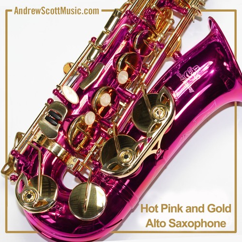 New Hot Pink Alto Saxophone in Case Masterpiece eBay