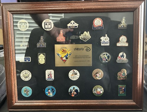 Disney Pins Company D Walt Disney World 25th Anniversary Pin Set Frame 