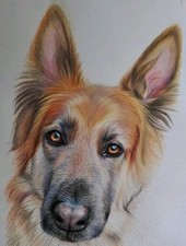 Custom pet and animal portraits. Family gift coloured pencil, acrylic and oil,