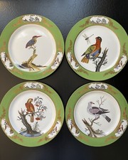 Set 4 Rare Chelsea House Moss Green Parrot Bird Botanical Display Plates 10.75”