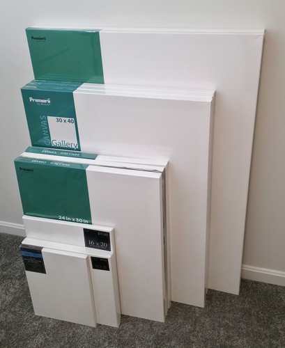 Lot of 11 Stretched Artist Canvases 12x16 to 36x48