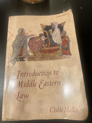 Introduction to Middle Eastern Law by Chibli Mallat (2009, Trade Paperback)