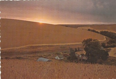 Sunrise Wheat Ranch Palouse Eastern WA and OR Fields Farm Country 6x4 Postcard
