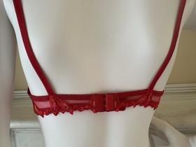 Lise Charmel Fleurs de Cerisier Cherry Embroidered Bra & Brief Set - Designer
