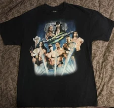 Wwe/WWF Vintage Summerslam 2008 Event Tee Shirt y2k Men’s Large