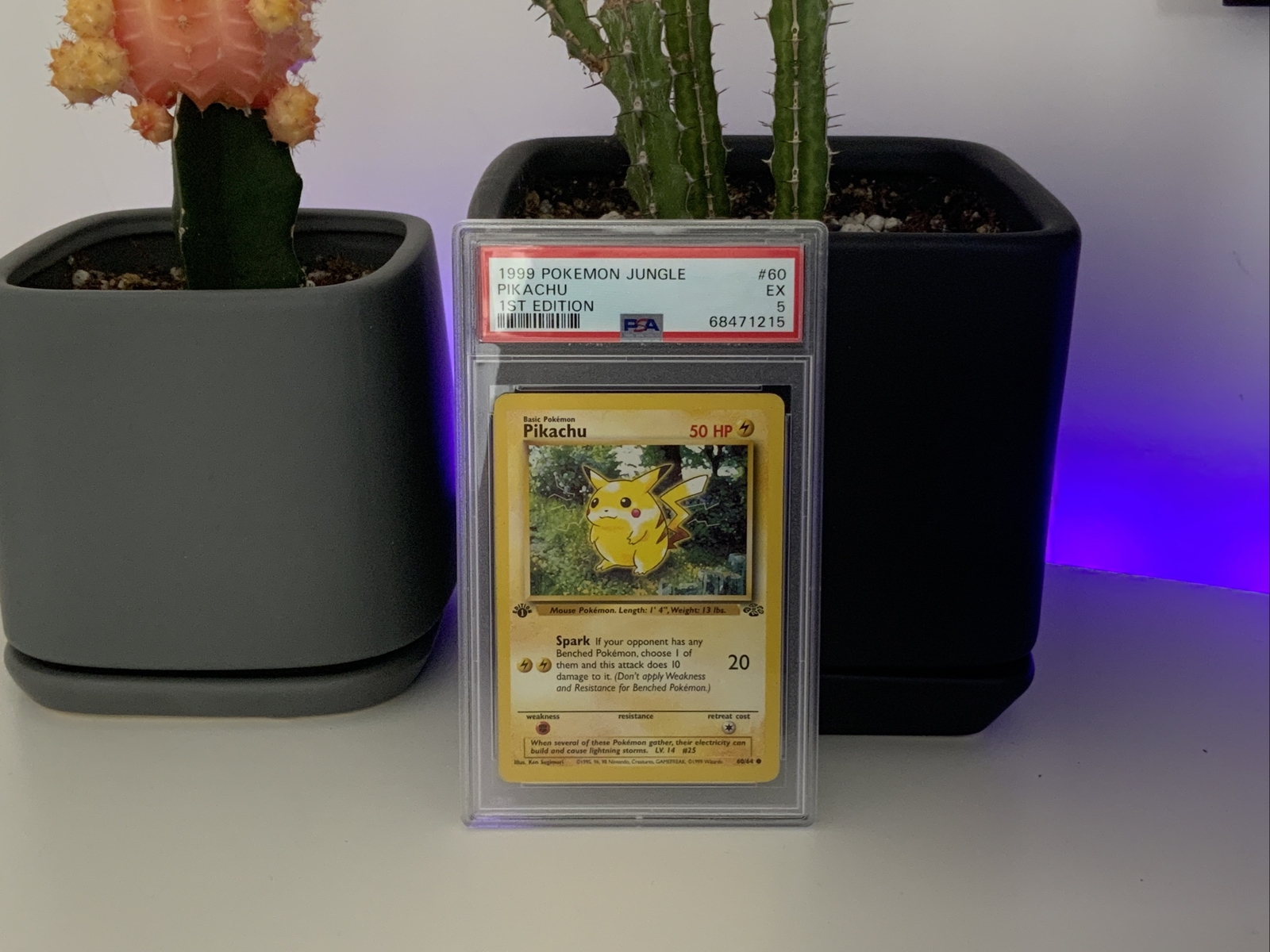 MTG FOIL 2013 Elspeth, Sun's Champion English [SLC], image size:1600x1200