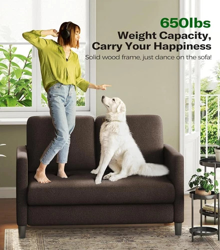 51" Teddy Velvet Sofa Zweisitzer Wohnzimmersofa Wohnzimmermöbel Doppelsofa DE - Bild 15 von 49