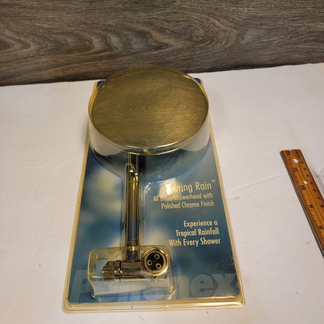 Pollenex DP1001CL Pouring Rain All Brass 5.5" Shower Head Polished