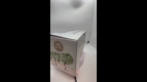Mans Best Friend - Labrador - Mug & Coaster Set - Boxed - Video 1 of 1
