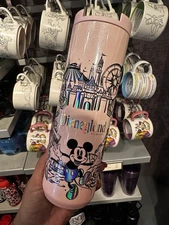 Disney Starbucks Disneyland Stainless Steel Water Bottle Mickey Castle 16 oz NEW