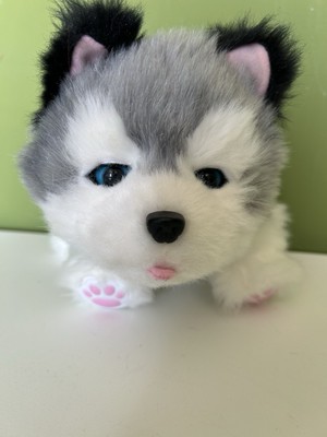 Little Live Pets Frosty The Husky, interaktiver Hund