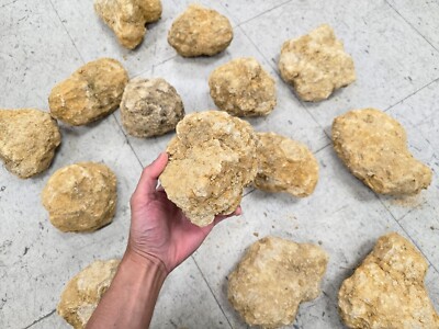 JUMBO Geode Break Your Own Unopened Quartz with Sparkly Quartz Inside Fun Gift