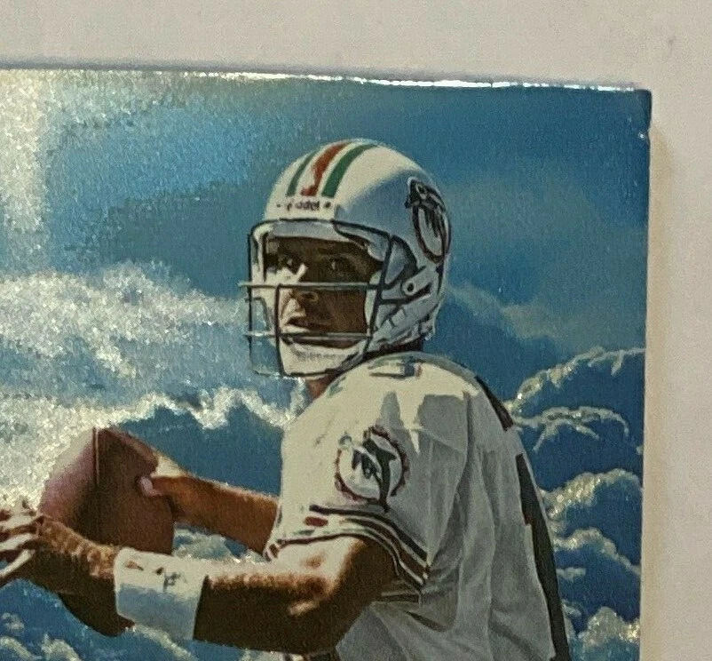 1995 Плей-офф Дэн Марино Hog Heaven Miami Dolphins Зал славы HOF Питтсбург - Изображение 3 из 3