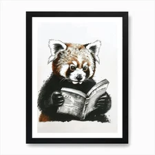 Red Panda Reading Ink Illustration  Framed Wall Art Poster Canvas Print Picture