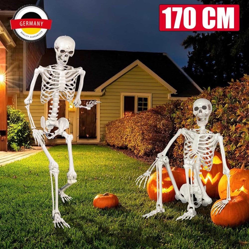 170CM Halloween Skelett Lebensgroß Beweglich Dekoration Lehrmodell Anatomie Deko