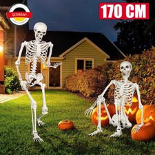 170CM Halloween Skelett Lebensgroß Beweglich...