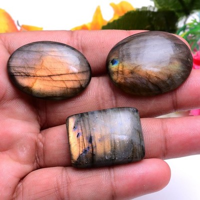 3 Pcs Natural Labradorite Golden Fire 29mm-35mm Cabochon Untreated Gemstones Lot