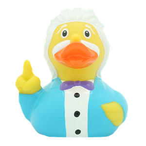 einstein rubber duck