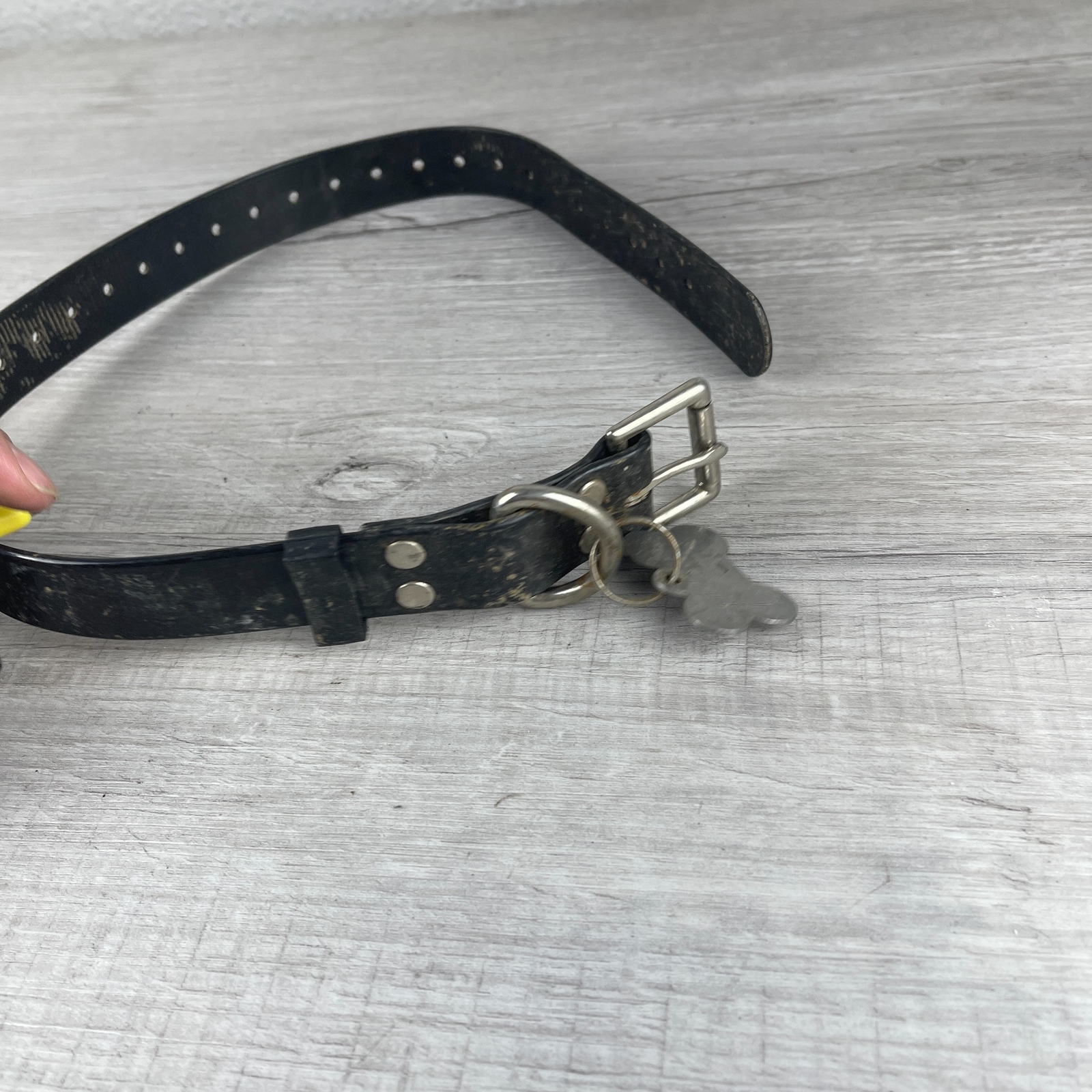 TriTronics Black Wireless Rechargeable Bark Control Dog Training Shock