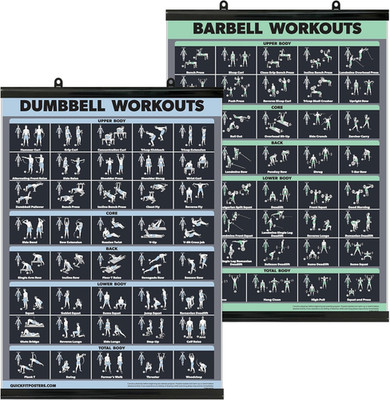 2 Pack Laminated Dumbbell & Barbell Workout Posters 18'' x 24''