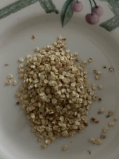 30 Tam Jalapeno Pepper Seeds Heirloom  Fresh Garden Seeds