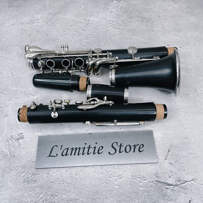 Yamaha YCL-250 Bb Clarinet Wooden Wind Music Instrument Japan
