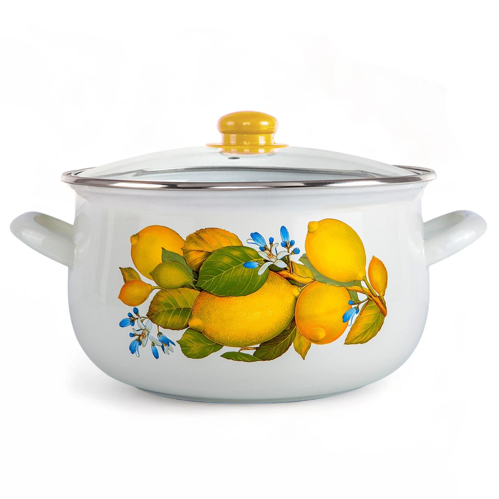 STPGOODS LEMONS Enamel Stockpot with Glass Lid Enameled Cooking Pot 4 qt