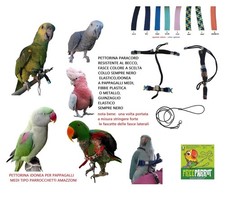 MEDIUM PARACORD PARROT HARNESS Amazonian parrots plastic buckles