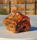 Arizona Rainbow Petrified Wood, .99 Lbs, Beautiful Jasperized Polished Display! — photo 3