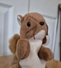 Ty Beanie Baby Nuts the Squirrel Vintage 1996 Retired Mint Condition With Tags