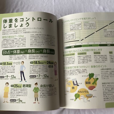 Yoga For Pregnancy Book Japanese w DVD Pregnant Poster