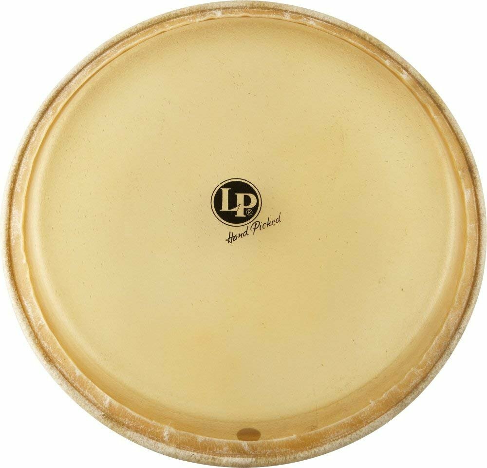 LP Conga Head (12.5) eBay
