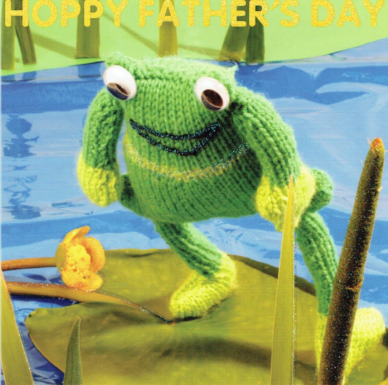 DAD FATHER'S DAY CARD  Quality FUNNY HOPPY FATHER'S DAY Design Fathers day