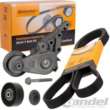 CONTINENTAL CTAM KEILRIPPENRIEMEN-SATZ passend für AUDI A3 SEAT CORDOBA IBIZA
