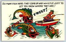 Vintage Humorous Fishing Comic Cartoon Postcard by Tichnor Bros Boston