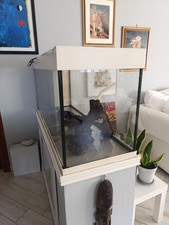 Juwel Rio 240 Acquario - Bianco