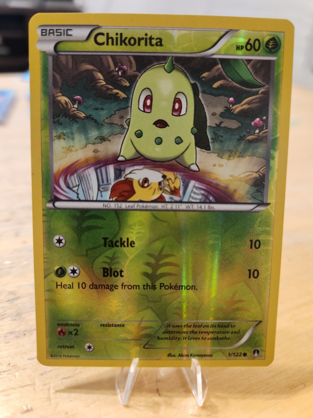 Chikorita 1/122 Common BREAKpoint Pokemon Reverse Holo NM