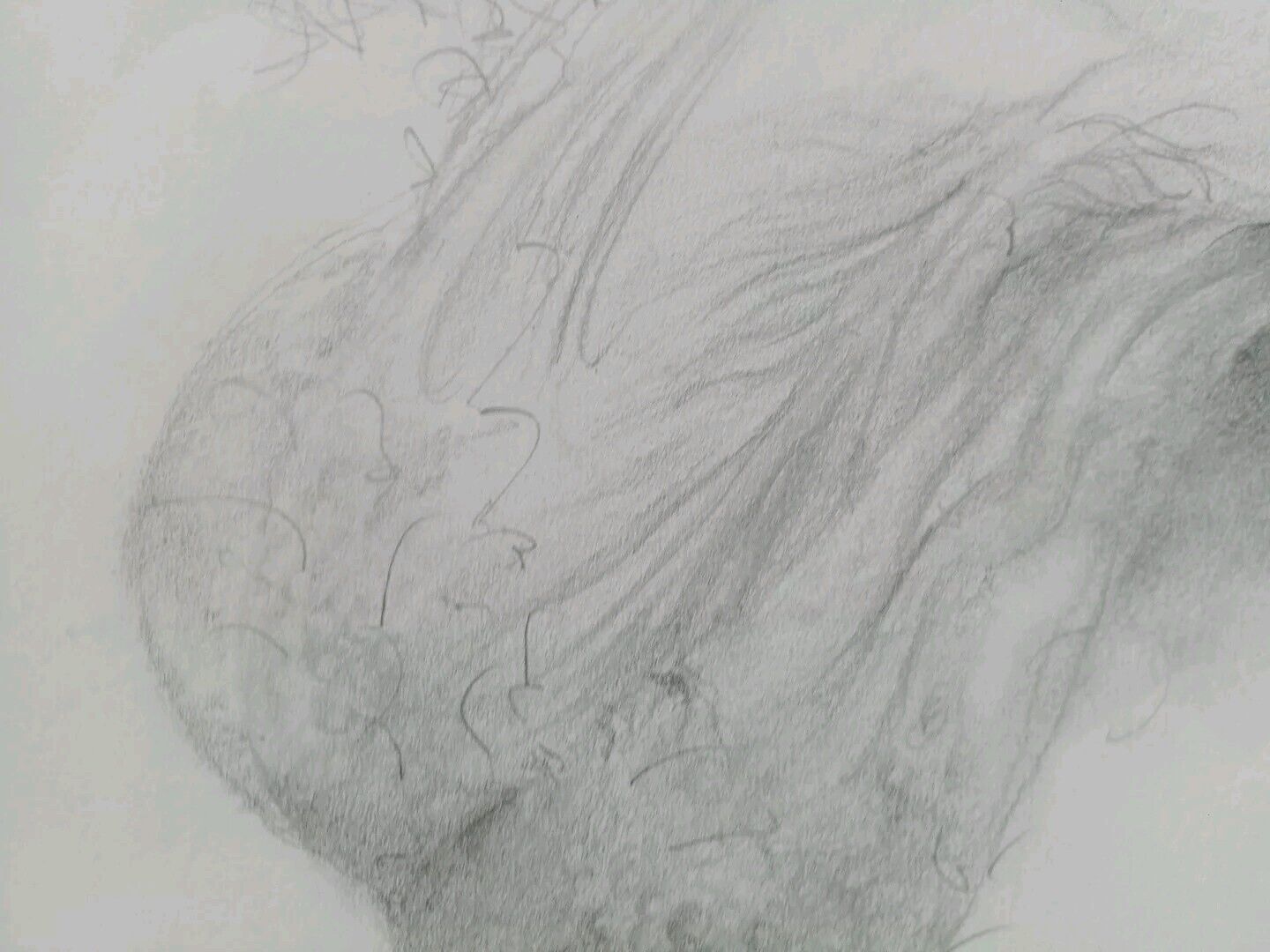 Picture 14 of 24
