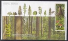 Canada - FDC - 2462-2463 - International Year of Forests - 2011