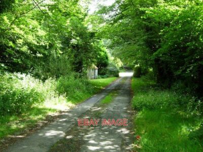 PHOTO  LANE TO NEWBRIDGE THIS NARROW LANE LEADS OFF THE A40 TO NEWBRIDGE FARM. 2