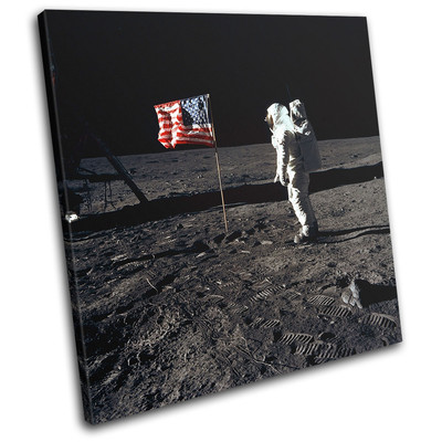 NASA Apollo Astronaut Moon Space SINGLE Leinwand Wand Kunst Bild drucken