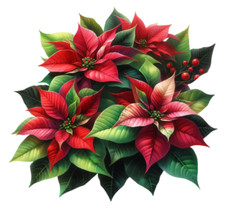 Christmas Flower Poinsettia Waterproof Vinyl Sticker for wall, gift box, mugs