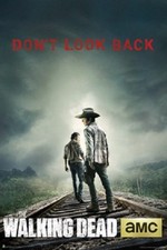 AMC FILMS THE WALKING DEAD SEASON 4 DON'T LOOK BACK POSTER NEW 24x36 FREE SHIP