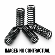 TECNIUM KIT, CLUTCH SPRING