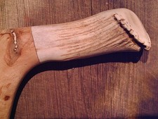 walking stick cane Antler handle MAPLE wood shaft very stiff CUSTOM MADE IN USA