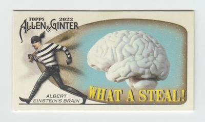 2022 Topps Allen & Ginter #WAS-3 Albert Einstein's Brain Mini What a Steal!