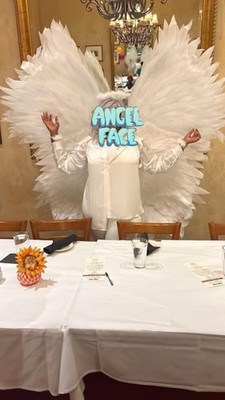 angel wings costume adult large