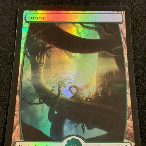 UNPLAYED ~ FOIL Forest Full Art ~ Zendikar ~ #246 MTG Magic the Gathering - Picture 2 of 6