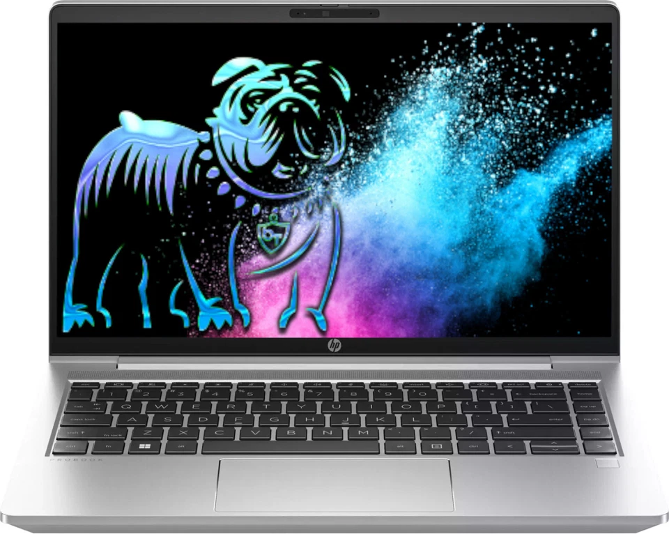 HP ProBook 445 G10 14" Notebook FHD Ryzen 5 7530U 16GB 512GB FPR IR Win11 NEU