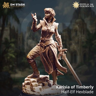Tabletop Half Elf Hexblade Karisia DM Stash